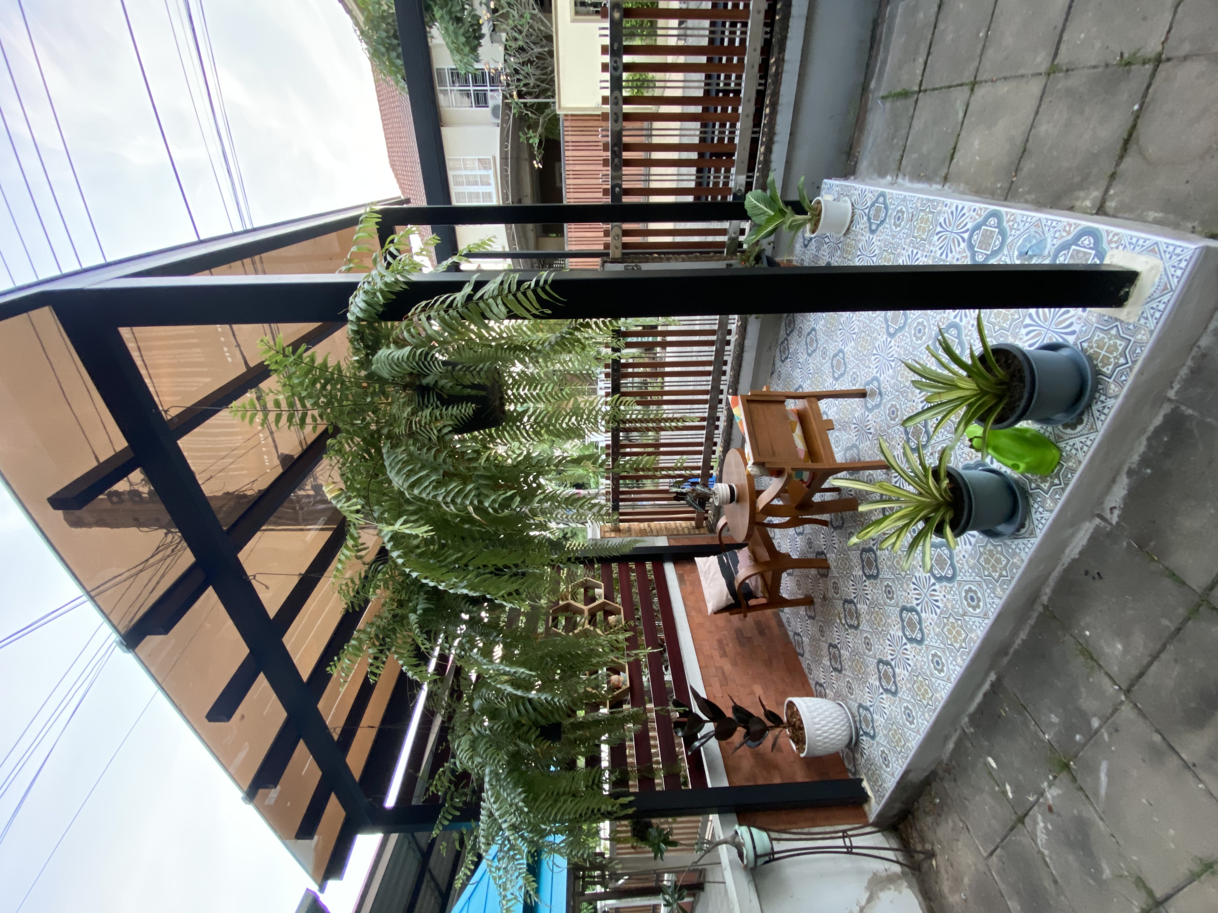 โพลีชนิดตัน